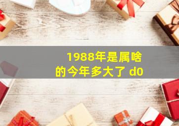 1988年是属啥的今年多大了 d0